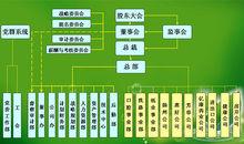 兩面針[柳州兩面針股份有限公司]