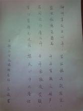 小柒硬筆書法