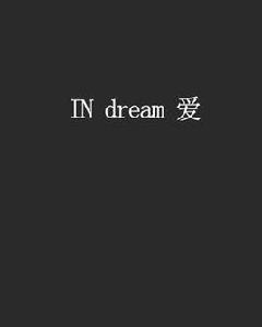 IN dream 愛