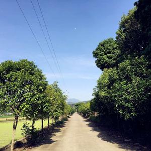 豐田村[湖南省瀏陽市達滸鎮下轄村]