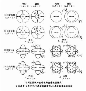 巨多極共振