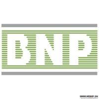 bnp