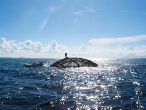 深海養殖籠