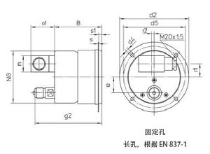 SF6氣體密度控制器背部下方連線安裝法蘭