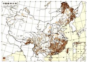 中國森林資源