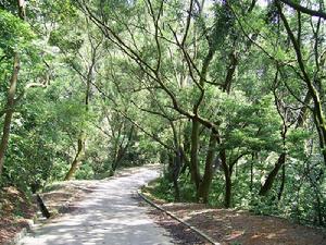 （圖）城門郊野公園遊客中心