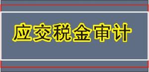 應交稅金審計