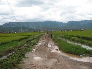 蘆屯村發展重點-改善道路