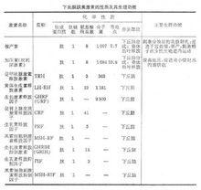 下丘腦－垂體系統