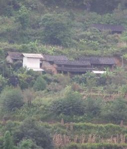 小谷田自然村