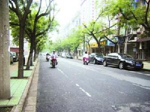 廬江路路況