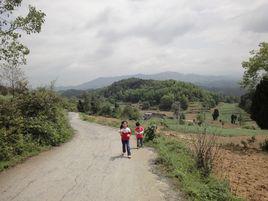 龍井村[浙江省杭州市西湖區龍井村]