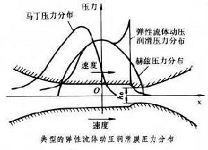 彈性流體動壓潤滑