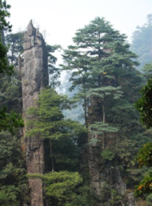 天鵝山國家森林公園