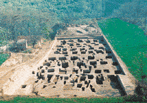 山西芮城清涼寺墓地 