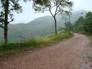 （圖）進村道路