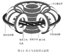 托卡馬克原理示意圖