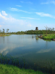 濕地公園