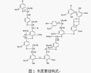 生物纖維酶