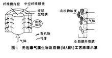 AMBR原理示意圖