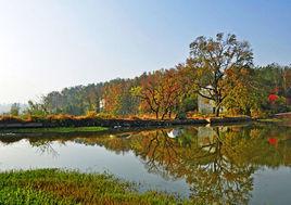 武漢府河濕地