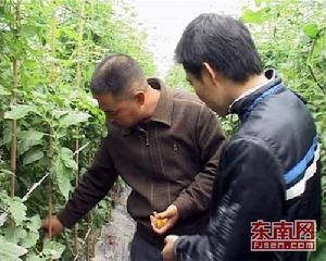 田寮村[福建省漳州市漳浦縣石榴鎮下轄村]