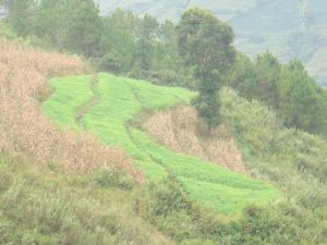 安樂自然村