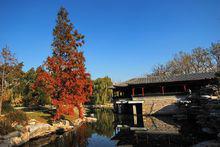 北京中山公園[北京市東城區中山公園]