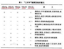 B肝五項指標