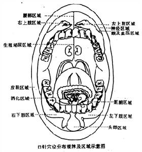 口針