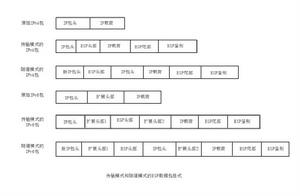 esp[封裝安全載荷]