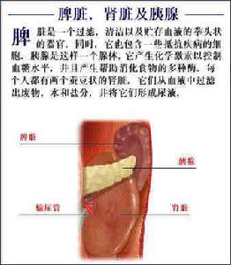 急進型腎炎