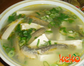 鰍魚附豆腐湯