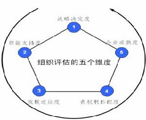 企業五維度管理