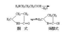 內醯胺的互變異構