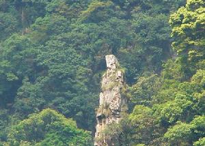 福建茫盪山國家級自然保護區景觀