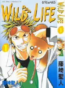 wild life[川島透、塙幸成執導日劇]