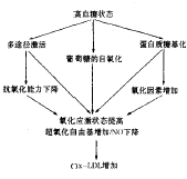 氧化應激