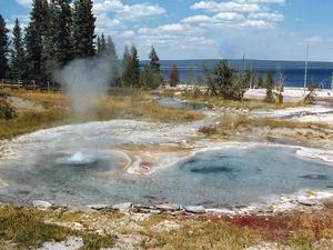 雙間歇泉（Twin Geysers）