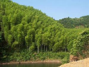 青龍湖水上樂園