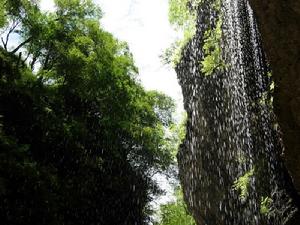 官鵝溝國家森林公園