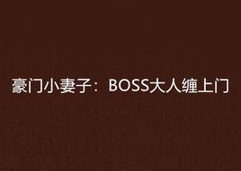 豪門小妻子：BOSS大人纏上門