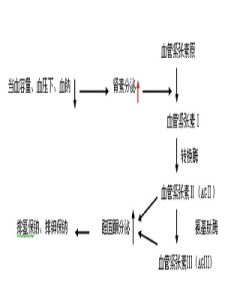 水電解質紊亂