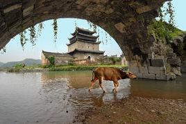 甘棠鎮[湖南省雙峰縣甘棠鎮]