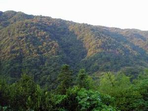 德化石牛山國家森林公園