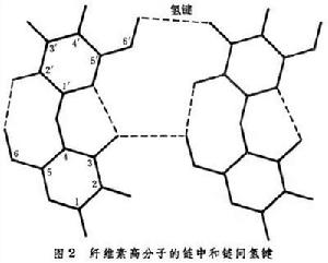 纖維素結構