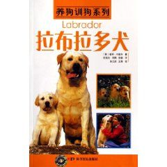 《拉布拉多犬》