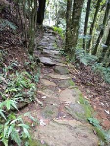 茶馬古道