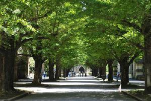 東京大學