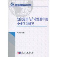 知識溢出與產業集群中的企業學習研究